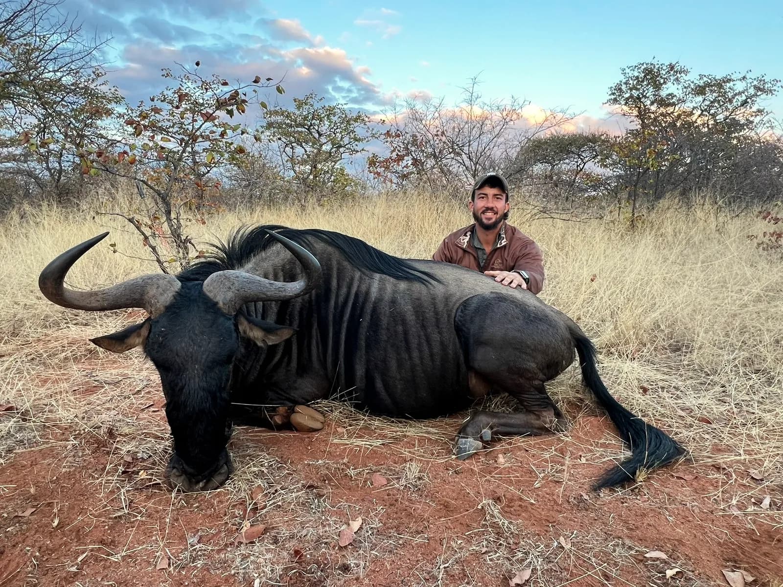 A hunter with a blue wildebeest bull at dusk
