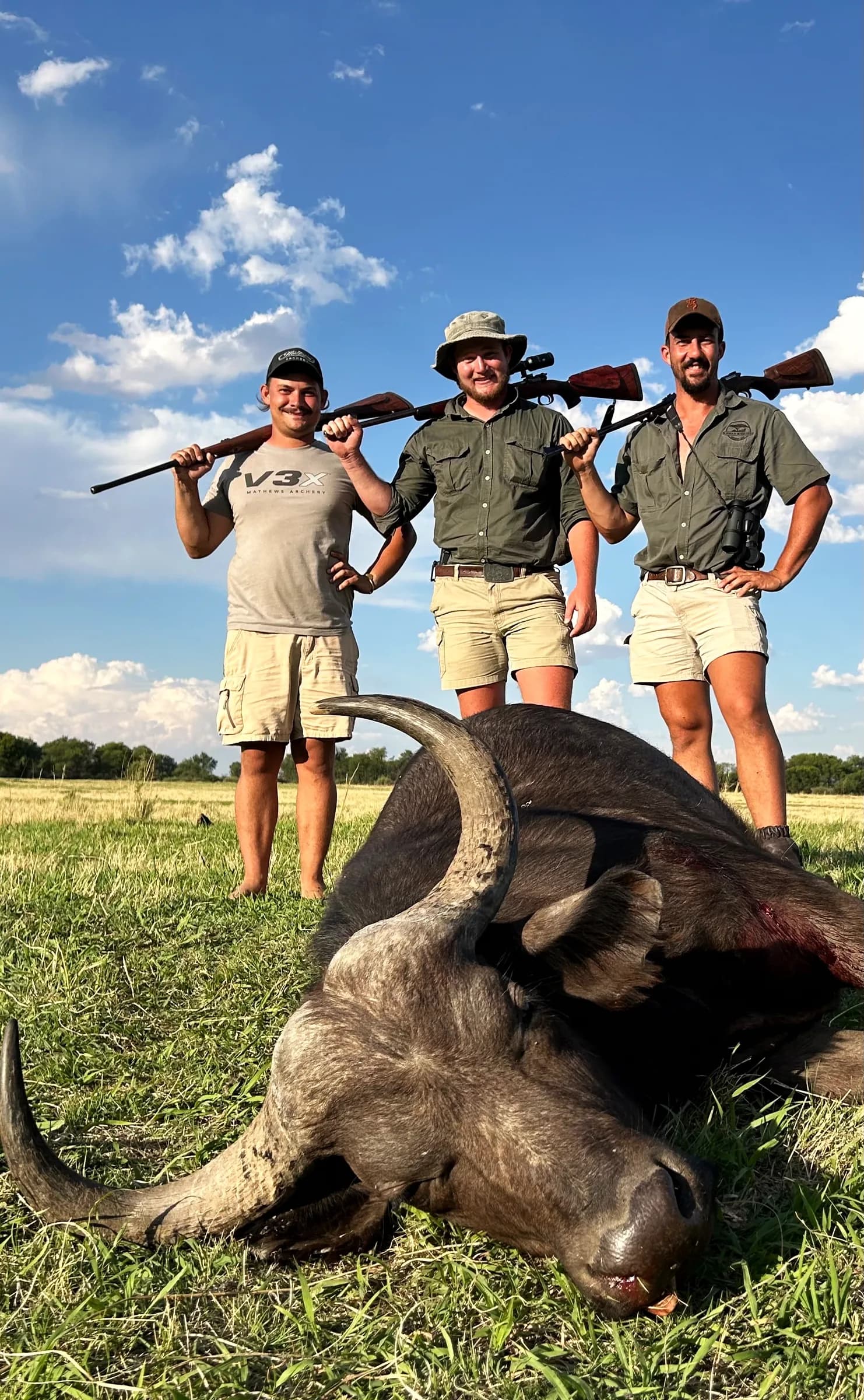 A hunting party with a Cape buffalo bull