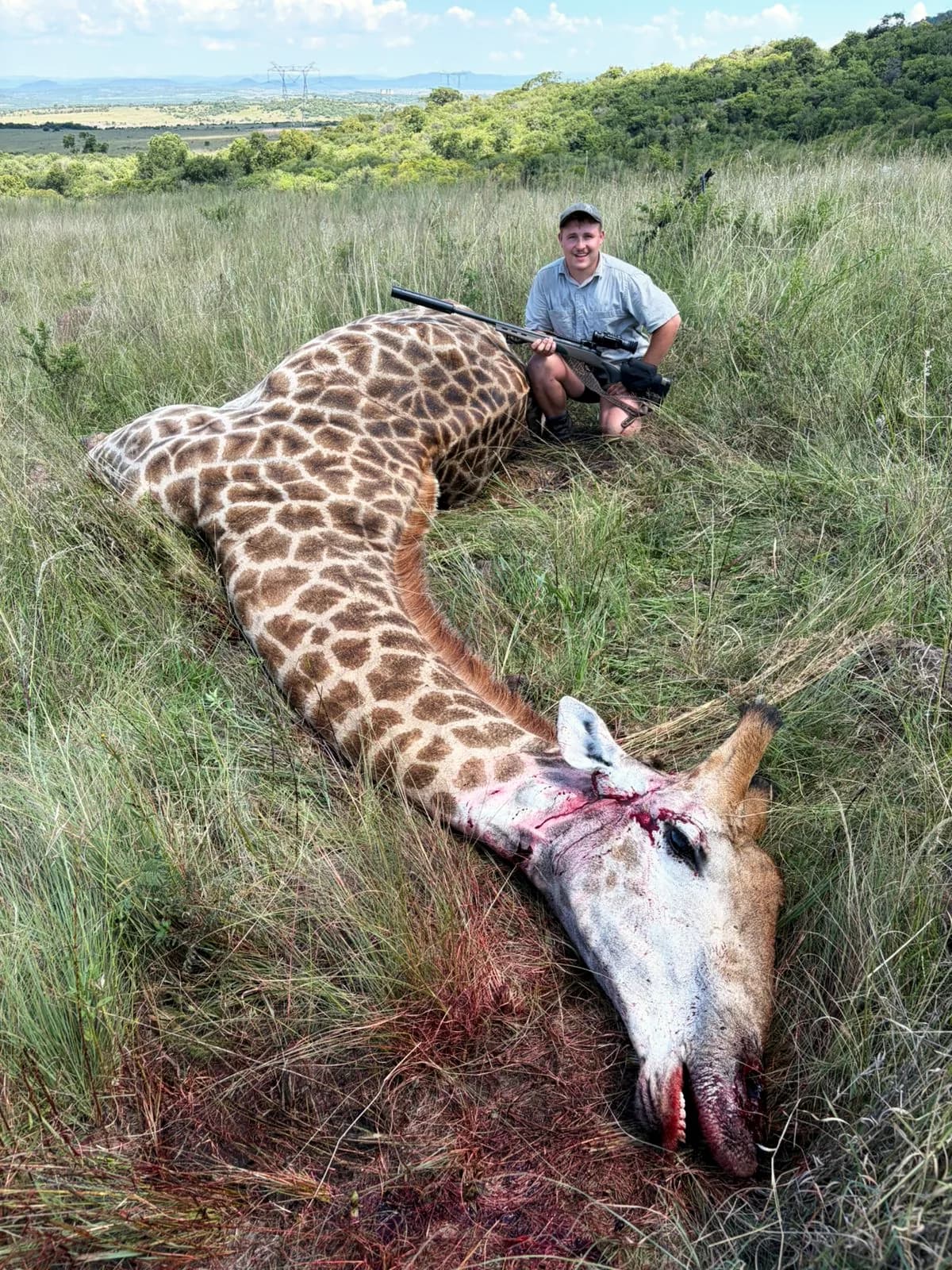 A hunter with a giraffe bull taken on management quota in the green season