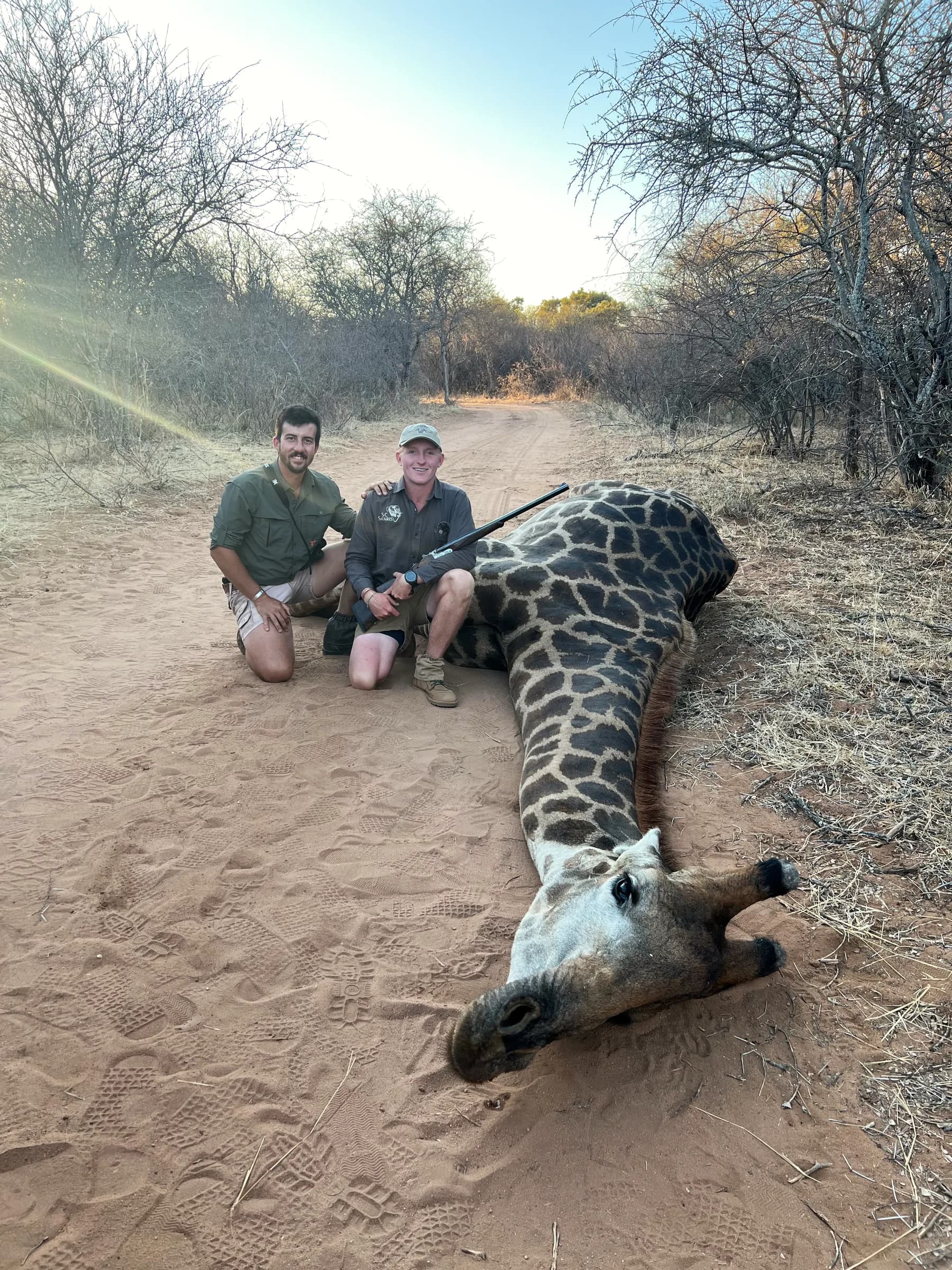 Two hunters with a giraffe bull