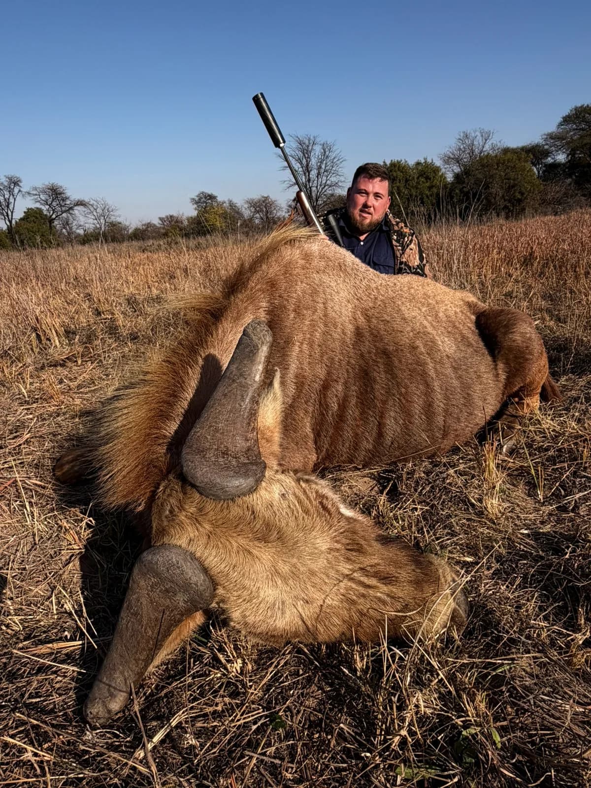 A hunter with a golden wildebeest bull