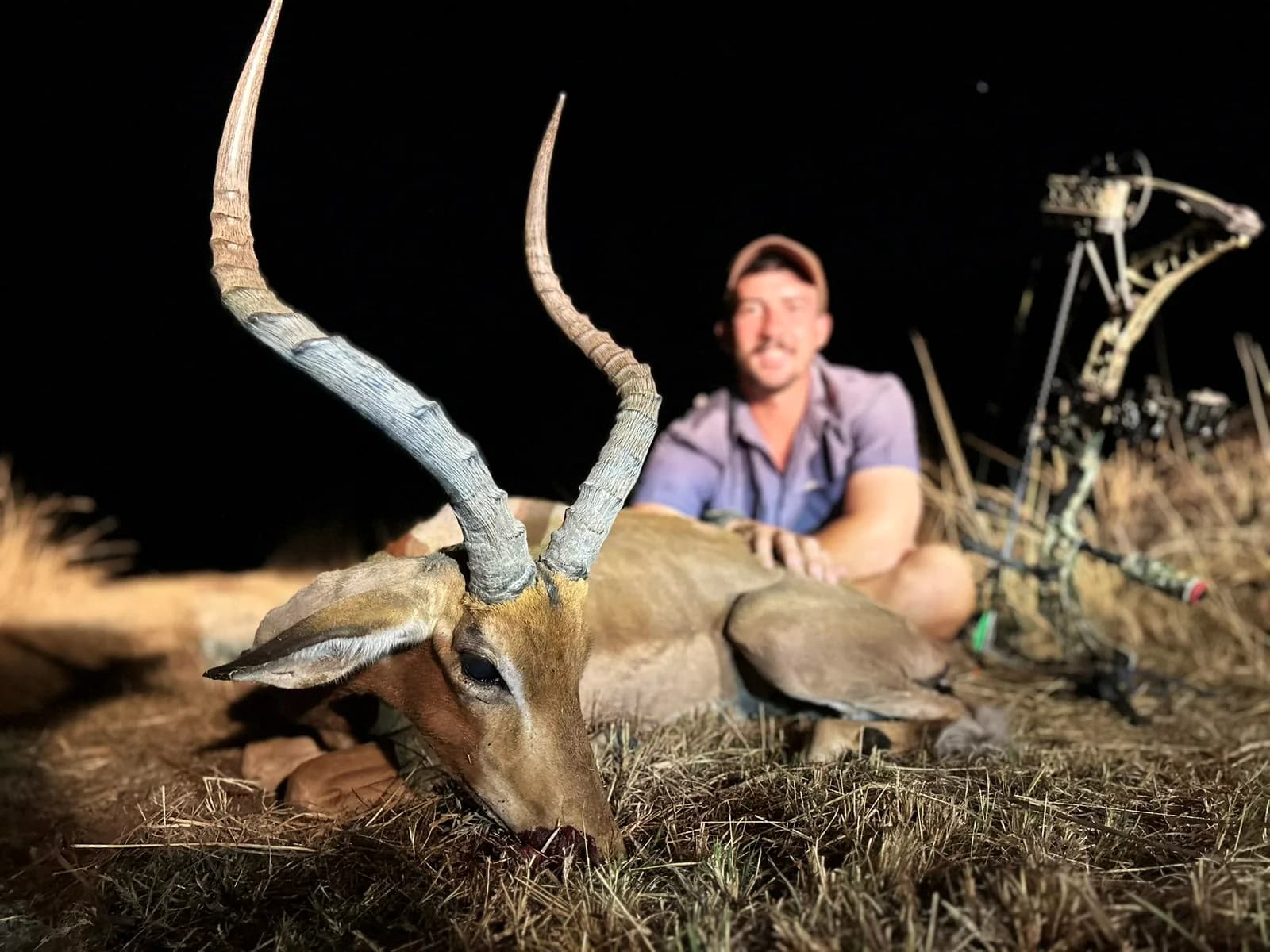 An impala ram taken with a compound bow after dark