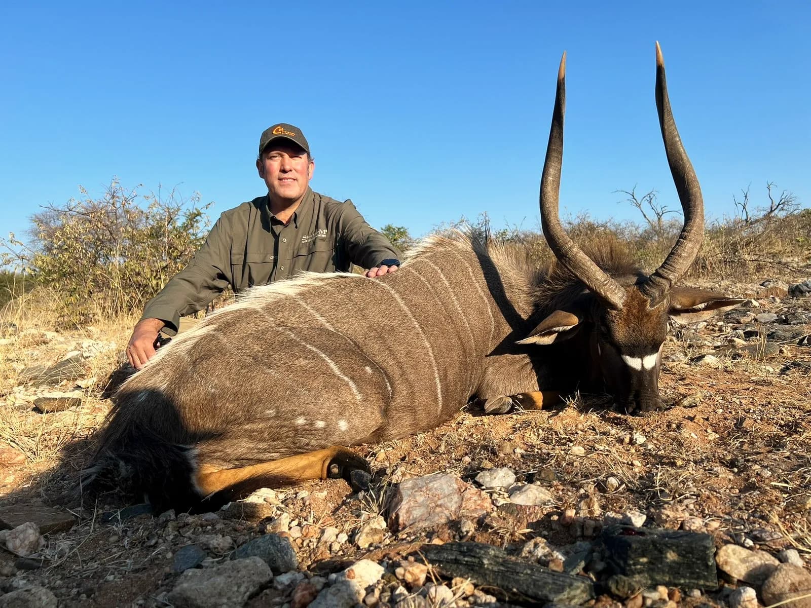 A hunter with a nyala bull on a rocky ridge
